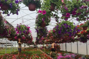 Međunarodni sajam hortikulture u Beogradu