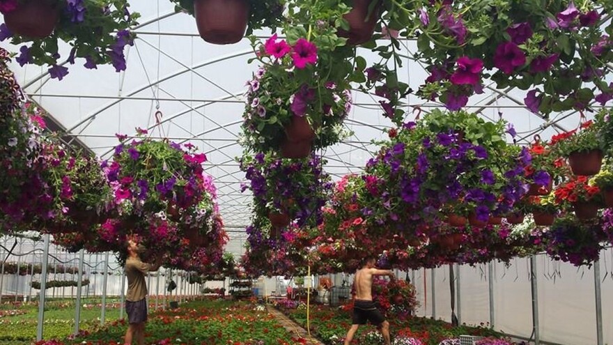 Međunarodni sajam hortikulture u Beogradu