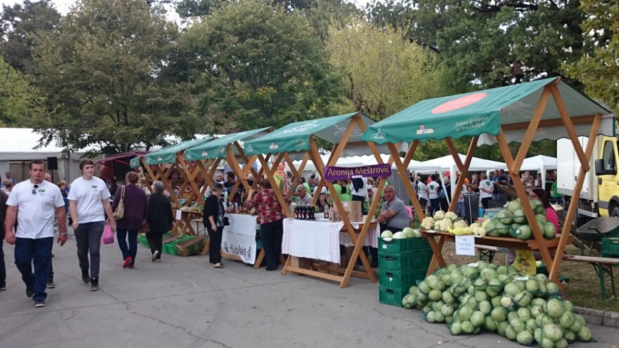 Potpore manifestacijama u 2016.