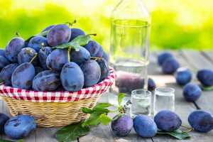 Na Sajmu šljive u Gradačcu po prvi puta i Sajam pčelarstva te ocjenjivanje rakije