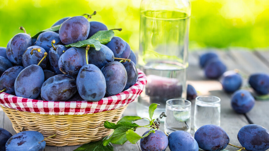 Na Sajmu šljive u Gradačcu po prvi puta i Sajam pčelarstva te ocjenjivanje rakije