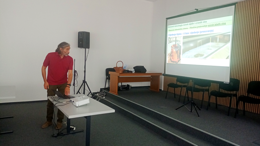 Proizvodnja vina je preskupa za greške, ovo su najčešće