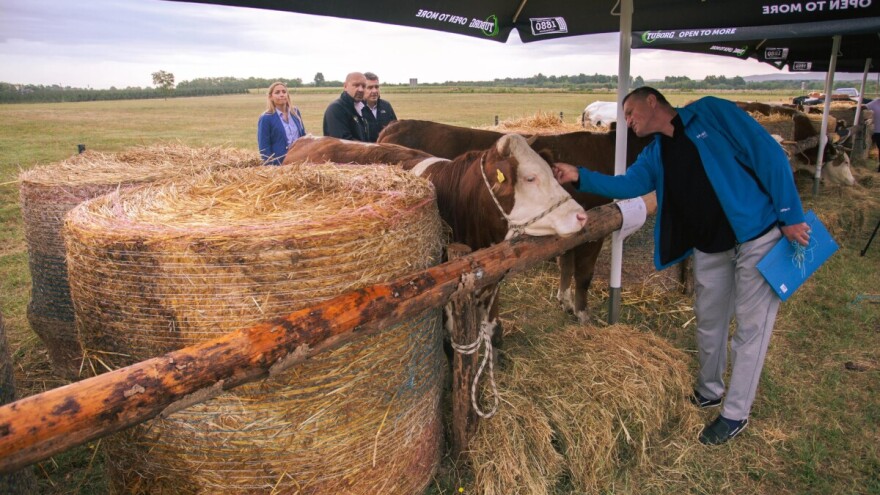 Veliko priznanje za farmere: Najbolje krave i junice zasjale na izložbi u Gradačcu