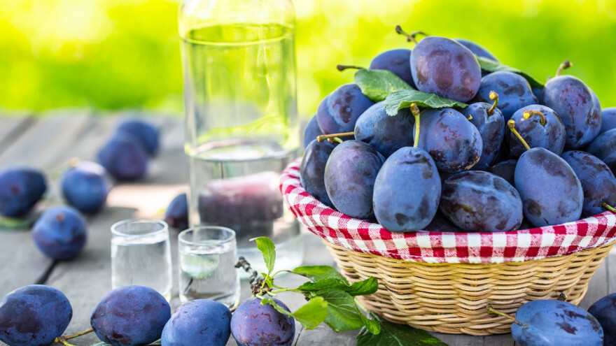 Sajam šljive u Gradačcu uz Sajam pčelarstva i ocenjivanje rakije