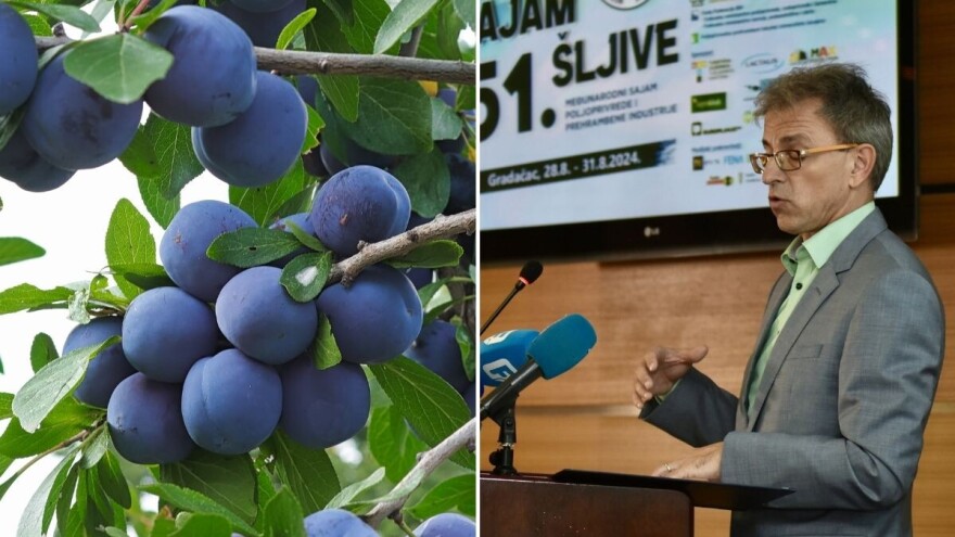 Evo koja stručna predavanja vas čekaju na 51. Sajmu šljive u Gradačcu