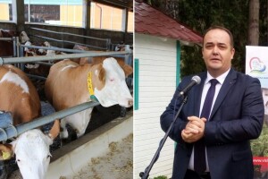 Na Sajmu šljive po prvi puta takmičarska izložba mliječnih pasmina