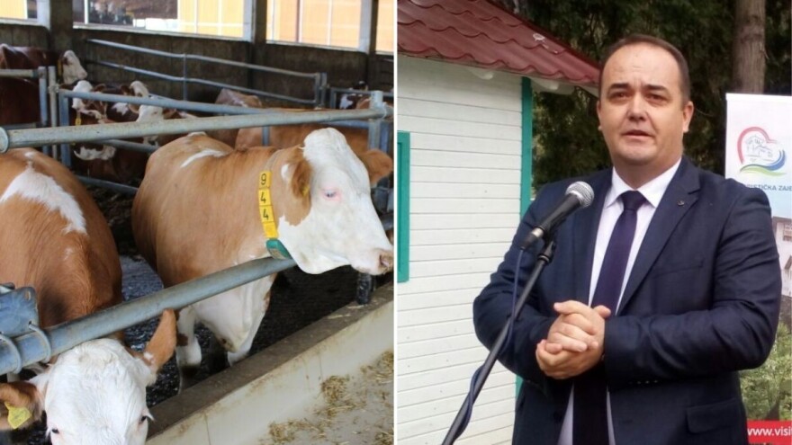 Na Sajmu šljive po prvi puta takmičarska izložba mliječnih pasmina