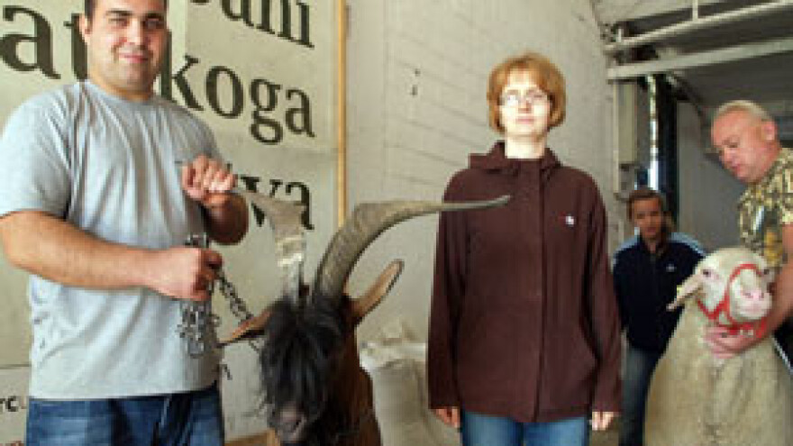 Bjelovarski sajam, jesen 2012