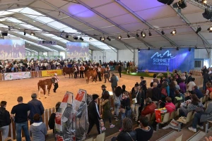 Posjetite europsku izložbu stoke broj jedan u gradu Clermont Ferrand