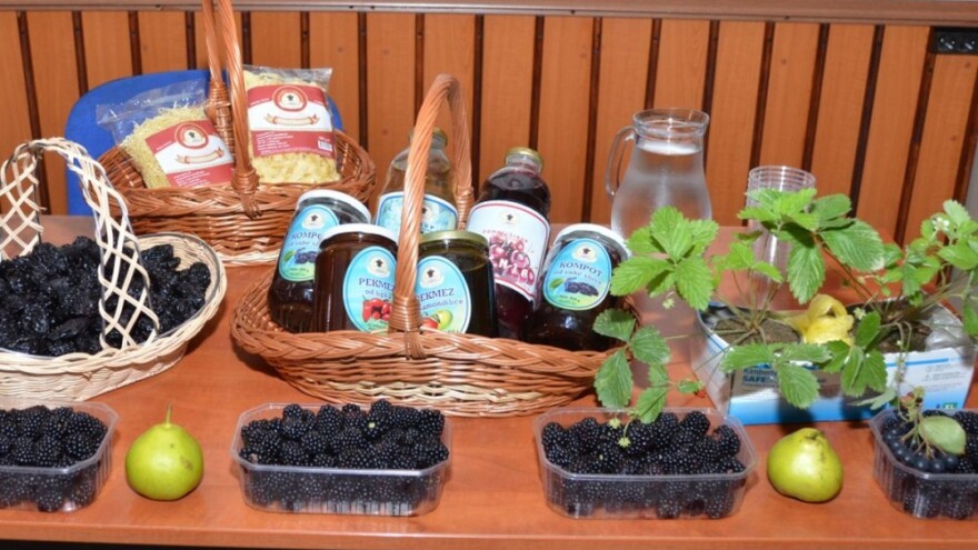 Sajam ruralnog stvaralaštva u Tarevcima