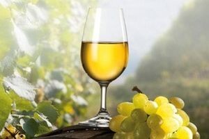 Viticulture & Viniculture 2014.