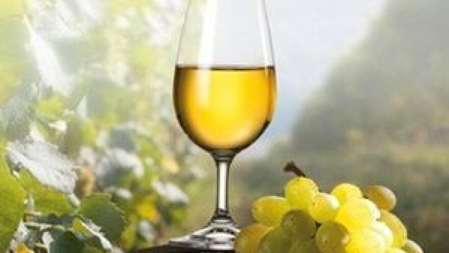 Viticulture & Viniculture 2014.