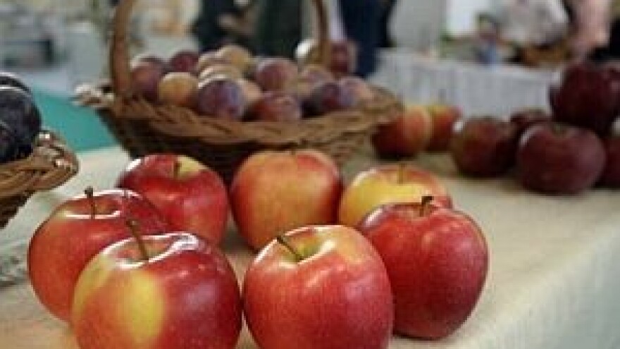 Dan voćarstva Poljoprivrednog instituta