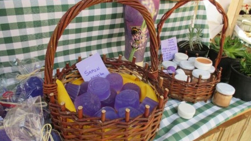 Sajam zdrave hrane Dani sunca u Zadru