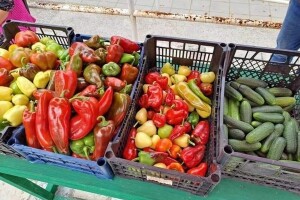 Goražde kao grad susreta proizvođača zdrave hrane
