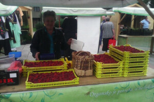 Degustacija maline u tradicionalnoj bosanskoj sofri