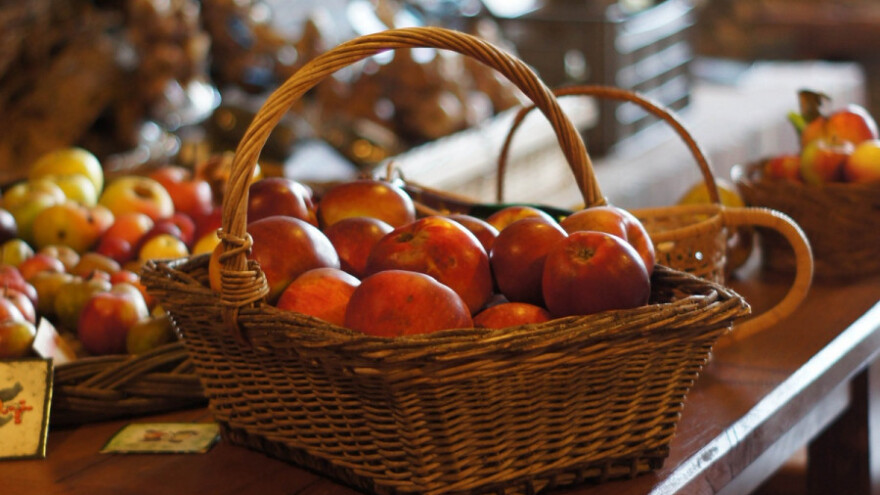 Očekuju rekordan broj izlagača u Goraždu