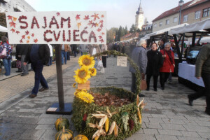 U Daruvaru cvijeća i mađarskog fiša!