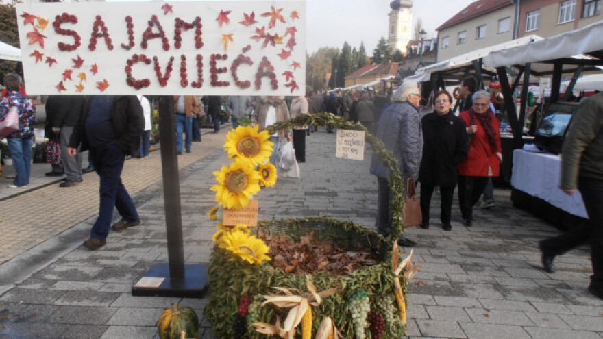 U Daruvaru cvijeća i mađarskog fiša!