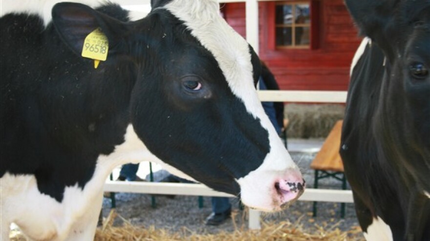 Mljekari tuže tvrtku Ka-Milk