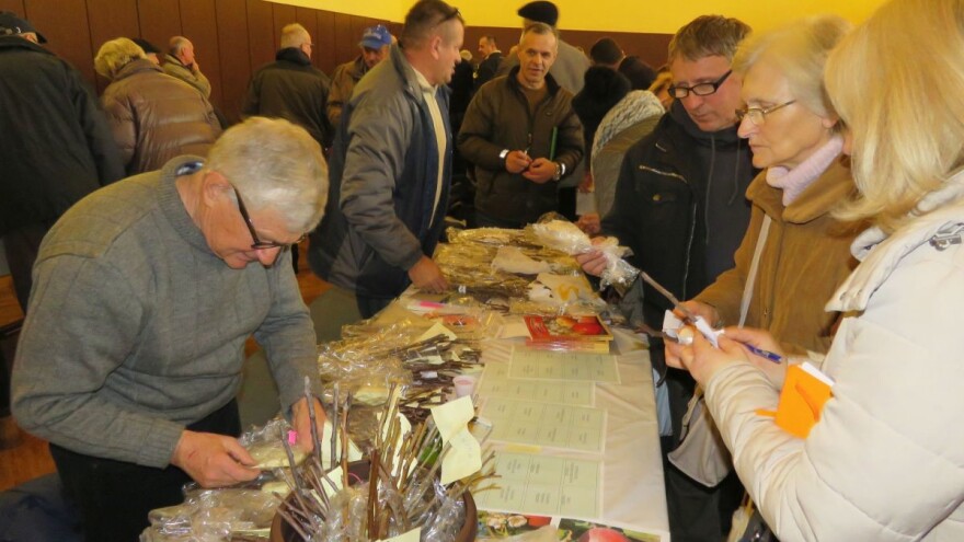 Očuvali tradicijsko prirodno blago, u Cerniku razmijenjene stotine starih sorti voća i povrća