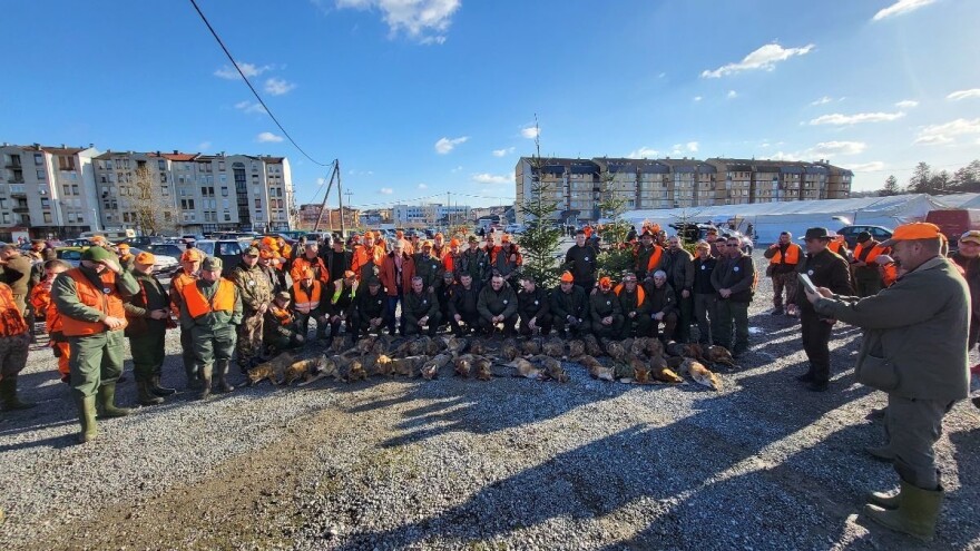 Više od 50 predatora palo na derventskoj "šakalijadi"