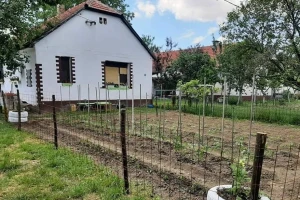 Povratak salašima je povratak prirodi?