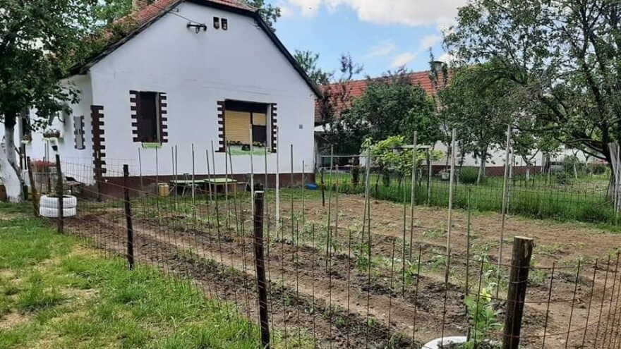Povratak salašima je povratak prirodi?