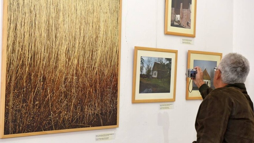 Salaši - između idealizovanog i stvarnog