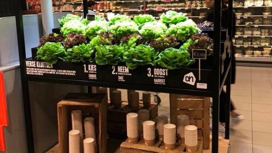 U Holandiji prodaju salatu koju u trgovini možete ubrati sami