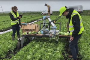 Na Cambridgeu napravili Vegebot - robota za berbu salate