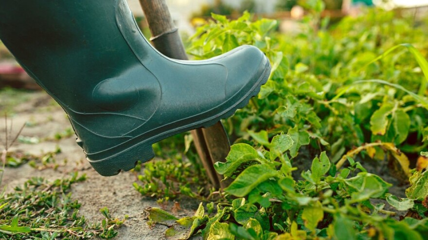 Koji su problemi u razvoju organske poljoprivrede?