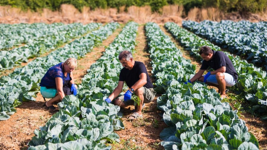 Poljoprivredni proizvodi mogu se prodavati, ali uz poštovanje određenih mjera