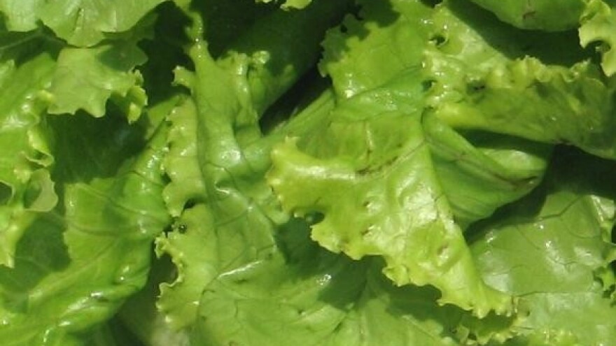 Povrće drastično skuplje nego lani