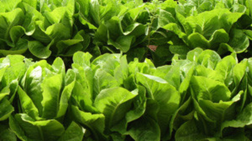 Primjena suvremenih tehnologija u poljoprivredi jamči uspjeh