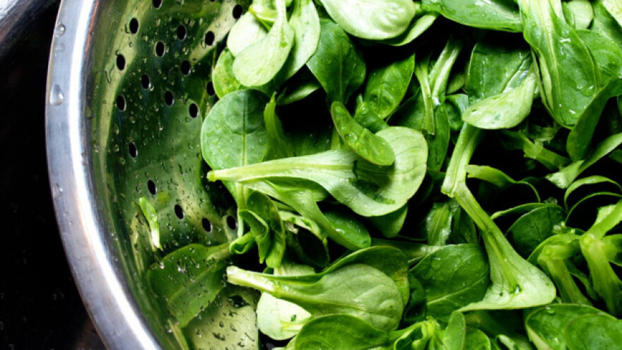 Matovilac - poljska salata