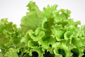 Europski milijuni za pakiranje salate