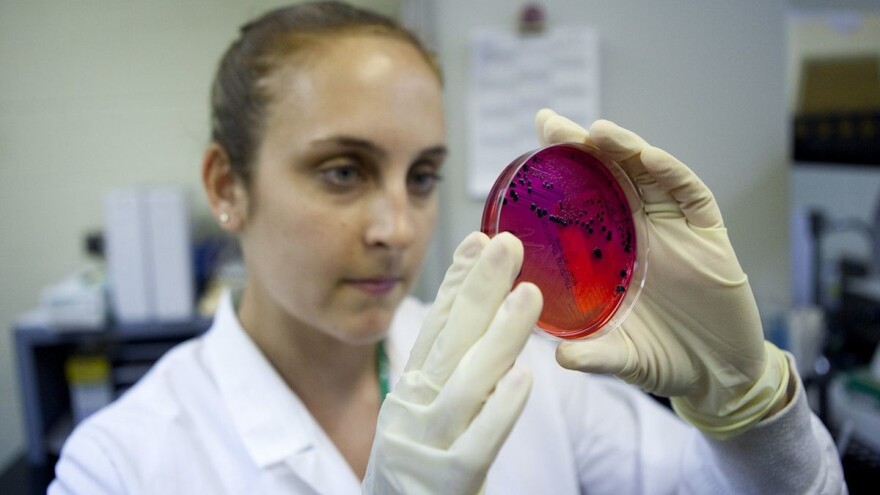 Prevencija salmonele