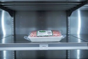 Salmonela u purećem mljevenom mesu iz Mađarske