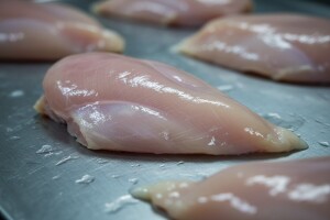 Salmonela u svježim pilećim filetima  iz Poljske