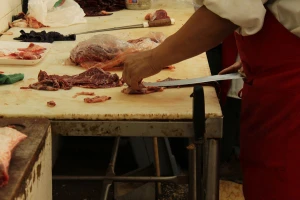 Salmonela (zasad) pronađena u 67 uzoraka hrane