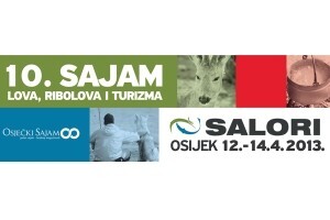 SALORI 2013.