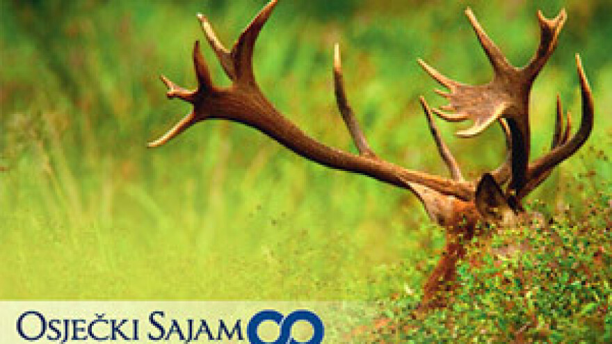 Osijek idućeg tjedna u znaku lova i ribolova