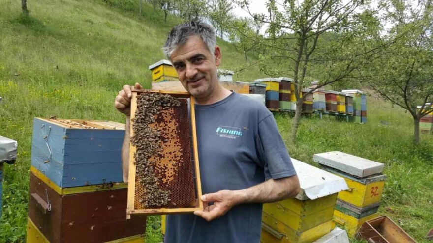 Pčelar Samir Baralija apiterapijom pomaže u liječenju brojnih bolesti