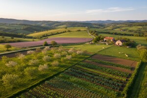 Samo 2,45% površina pod ekološkom proizvodnjom