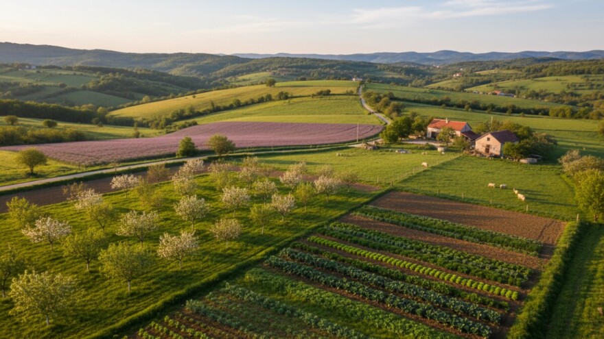 Samo 2,45% površina pod ekološkom proizvodnjom