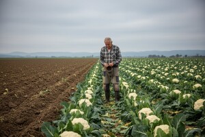 Samo još jedan OPG na odlasku iz Hrvatske