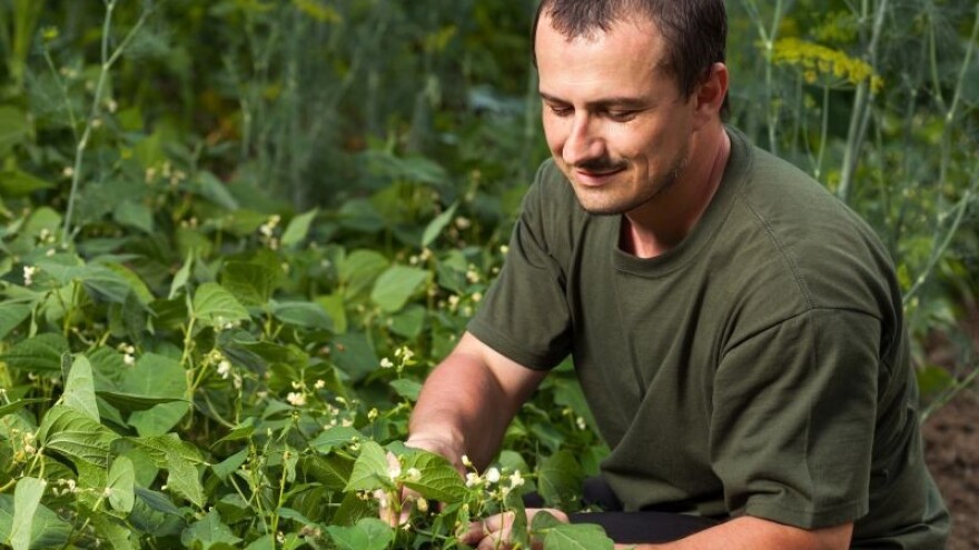 Biljke indikatori - obzirom na stanje tla