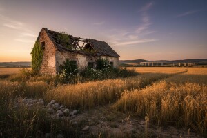 Samoubojstvo poljoprivrede uvozom