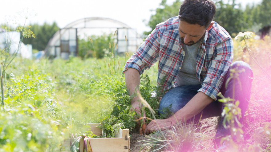 Zoran Gajić: U Brčko distriktu veliko interesovanje za samozapošljavanje